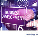 Business Development Product Development