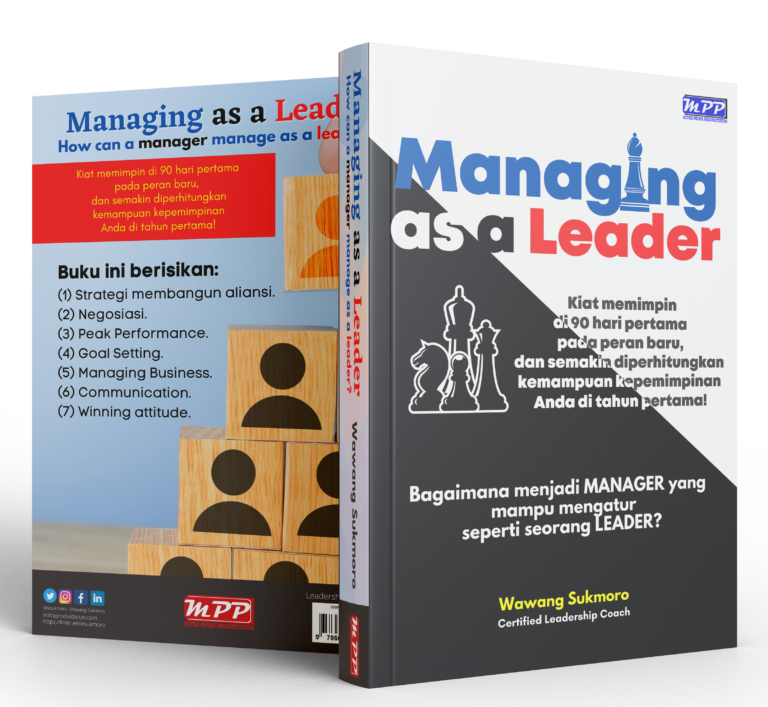 Stand Book Managing as a Leader